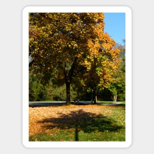 Autumn by the Dietlhofer See in Weilheim, Germany Magnet